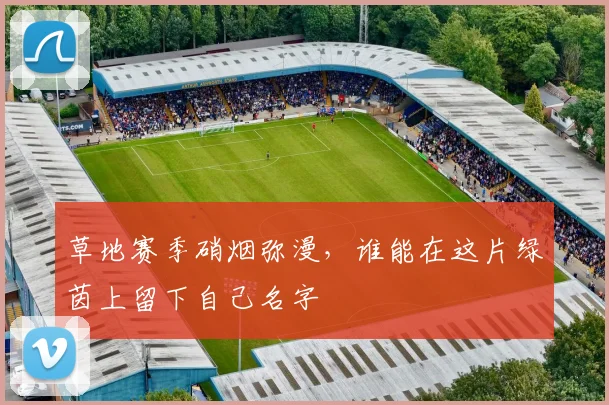 草地赛季硝烟弥漫，谁能在这片绿茵上留下自己名字